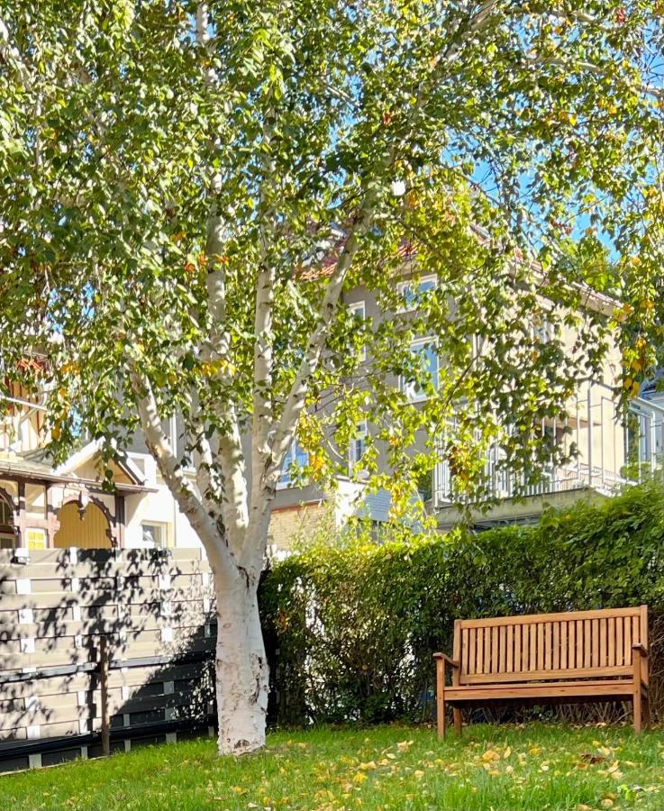 Fewo Schlossblick #Innenstadt #Garten #Netflix Von Harztraveler ヴェルニゲローデ エクステリア 写真