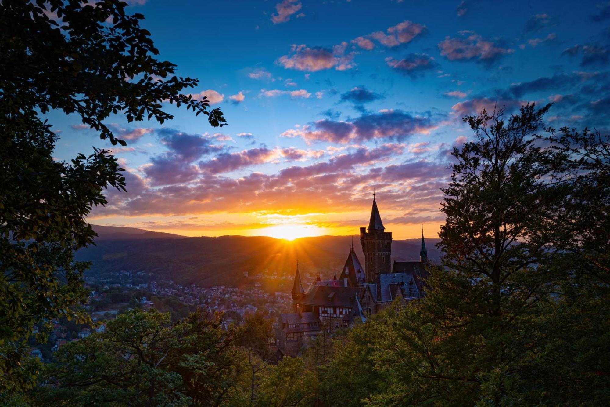 Fewo Schlossblick #Innenstadt #Garten #Netflix Von Harztraveler ヴェルニゲローデ エクステリア 写真